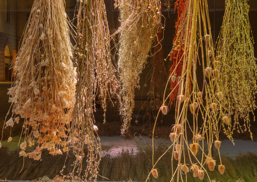 Anita Fuchs – Wiesenstück Anita Fuchs – Wiesenstück