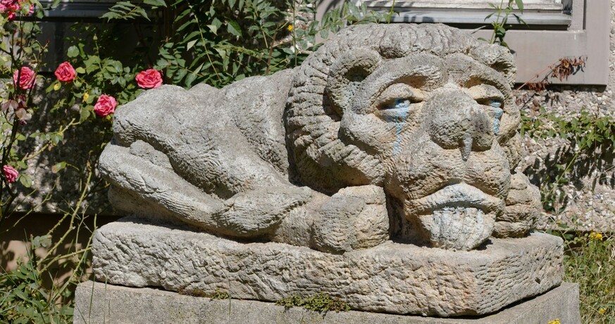 Heidi Specker: Amnesia