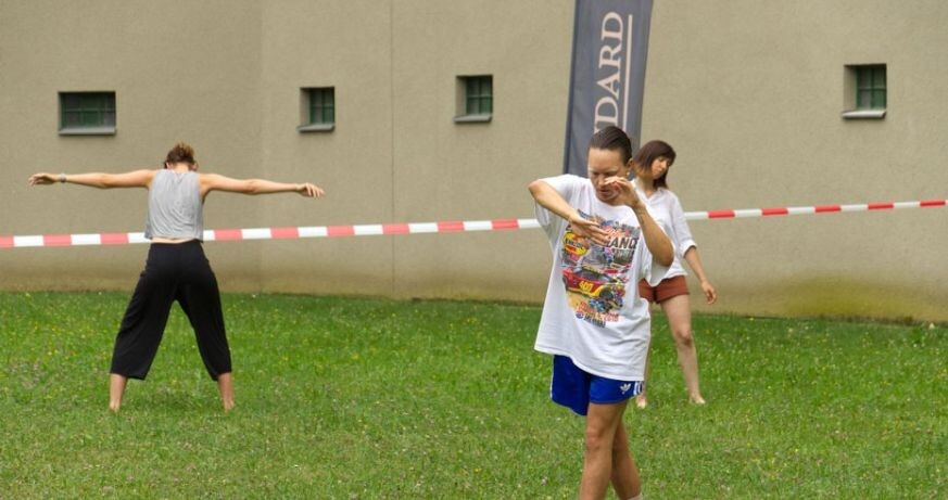 Public Moves: A Dance for 100 Ways to Stumble with Lau Lukkarila