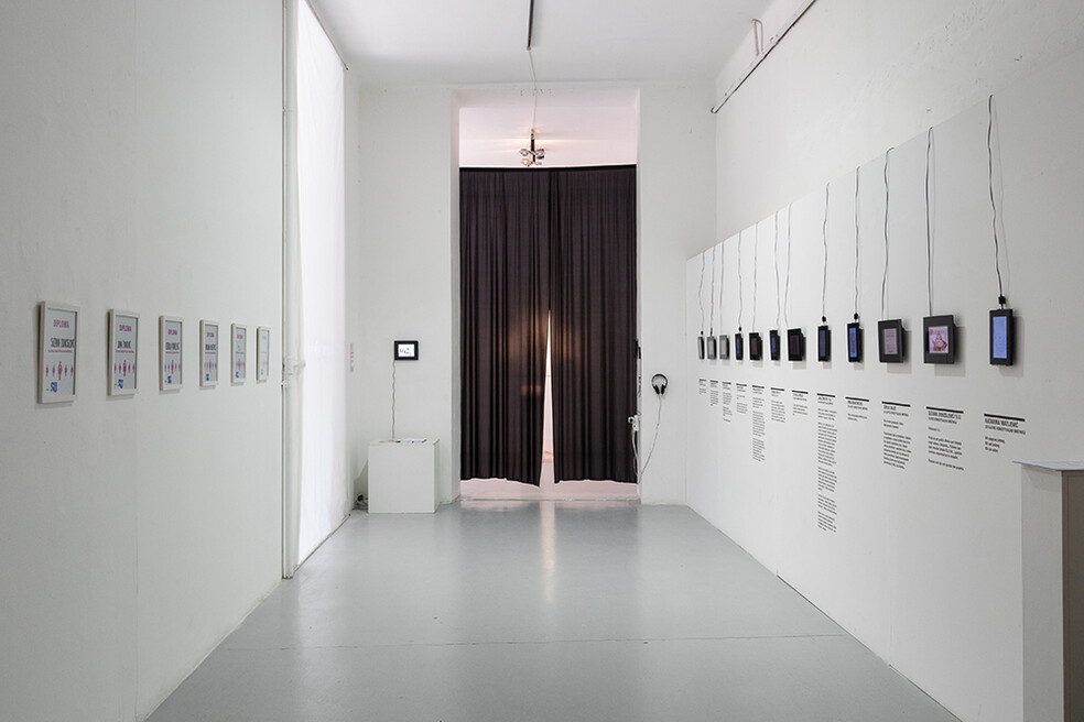 Bojana S. Knežević: "Sweet Conceptual Artist Looking for Support", 2016