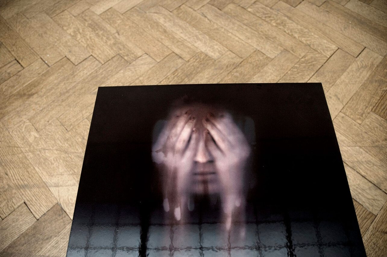 Untitled (detail) 2012, installation, mixed media