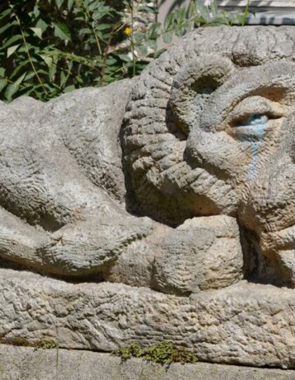 Heidi Specker: Amnesia