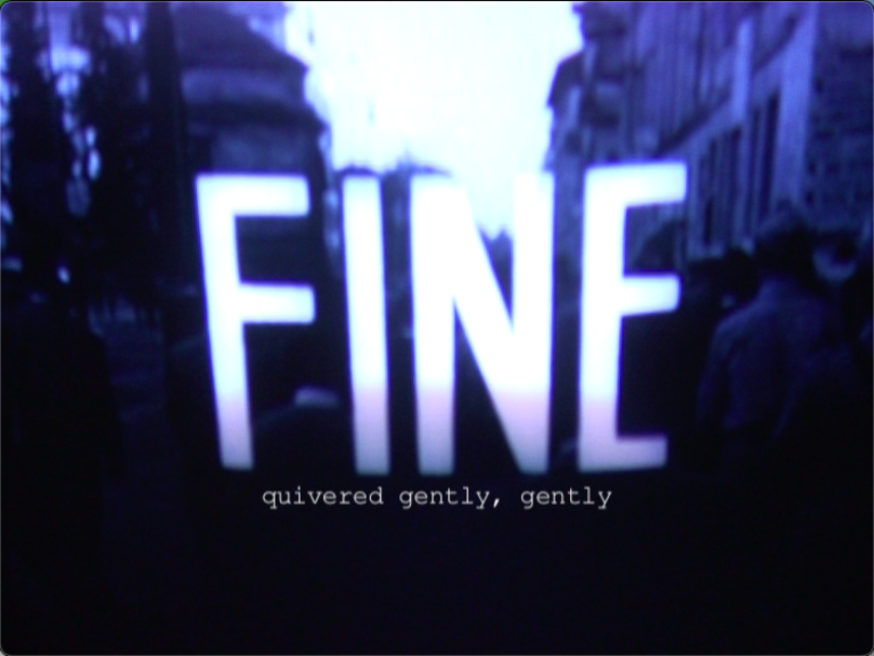 Fine, video, part of installation,<WORK IN PROGRESS FOR BETTER TOMOR-ROW by u nity infraproject ltd> 2014