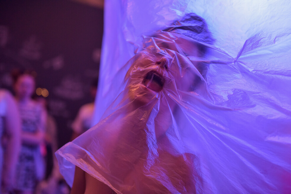 Performance by Fabiana Faleiros