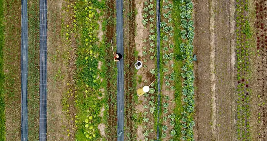 Filmstill „Almgrün“ © Mies. Magazin Architektur.Film.Sommer 2025: From the Front Garden to the Motorway