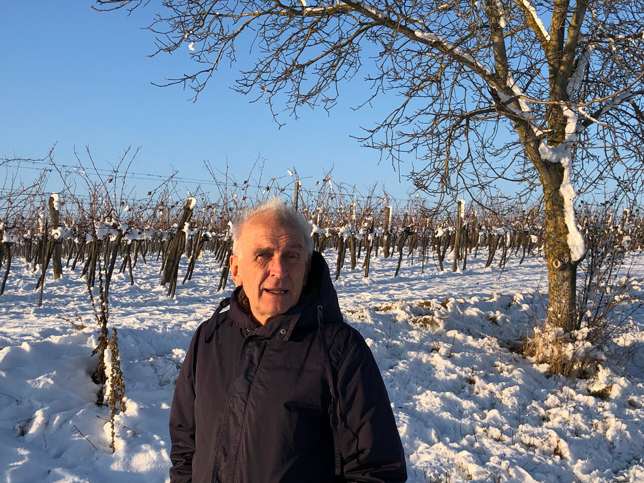 Johannes Schlebrügge vor einem verschneiten Weinberg und blauem Himmel
