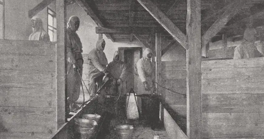 Flüchtlingslager Wagna bei Leibnitz. © Foto: F. Haimel, Graz 1915 (unbekannter Fotograf) Quelle: Lager Wagna 1915 Lecture & Response: The Modernist Balancing Act
