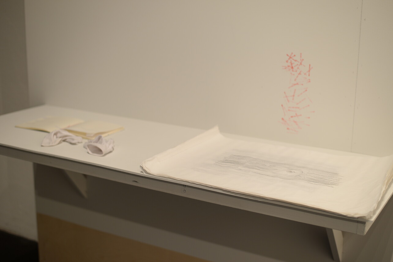 Irena Saldoje und Iva Simčić: "Measure for Measure"