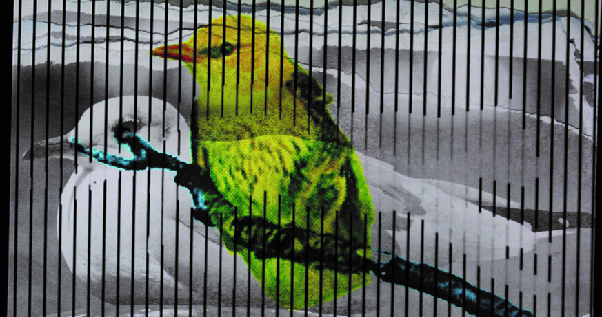 Ulrike Swoboda-Ostermann: FOISCHES VIECH - Attwenger