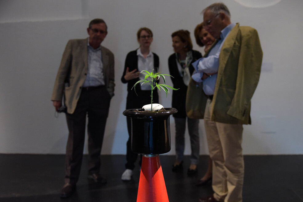 "Abracadabra" by Karthik Pandian