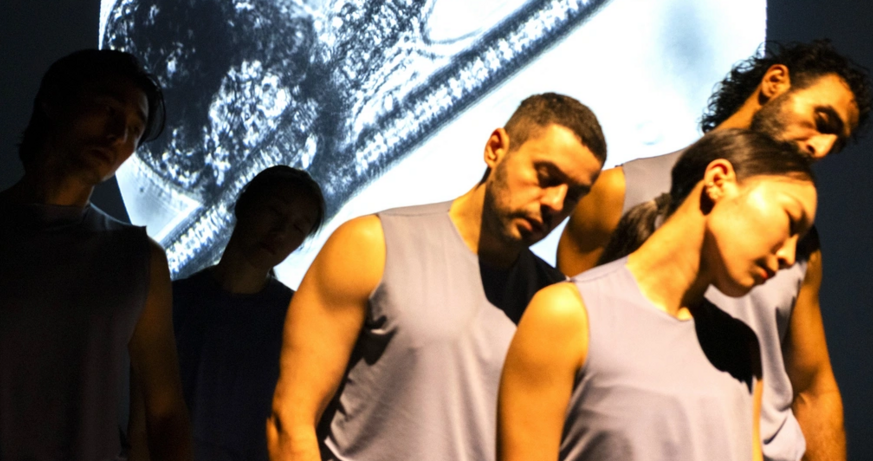 © Nick Mangafas TANZ DER ZILIEN