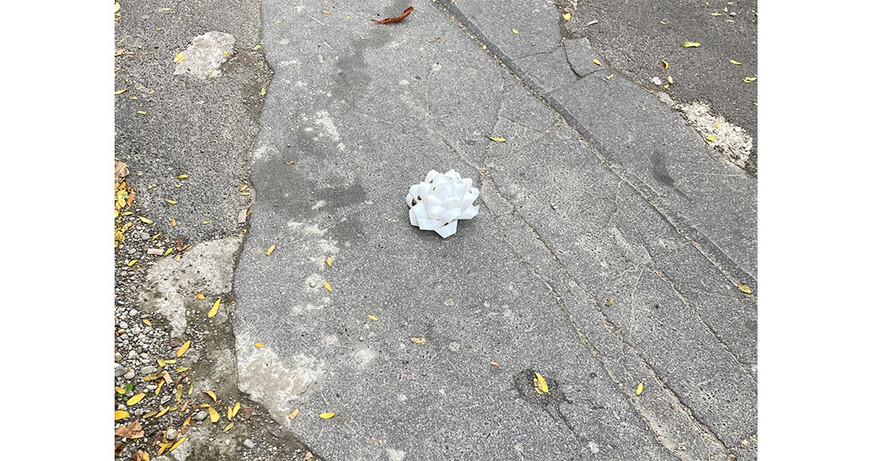 Sophie Marie Csenar: ich finde du bist manchmal immer anders gleich