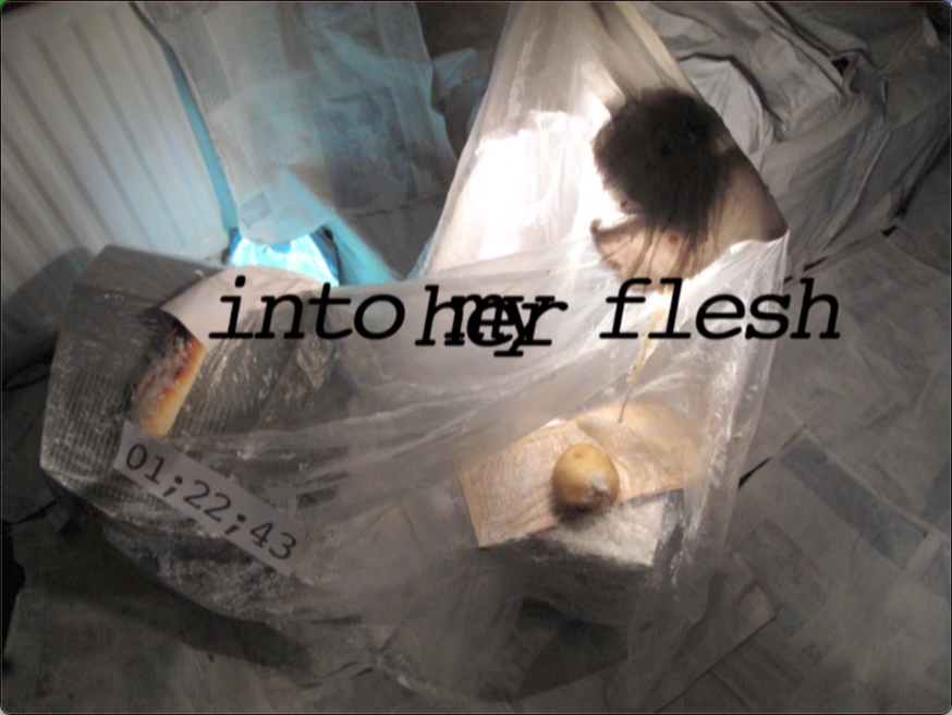 a friend of mine, video, part of installation aFoM 2012